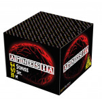 Amnesia
